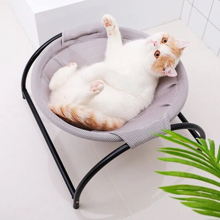 mamymarket™-Floor Cat Hammock-With Stand