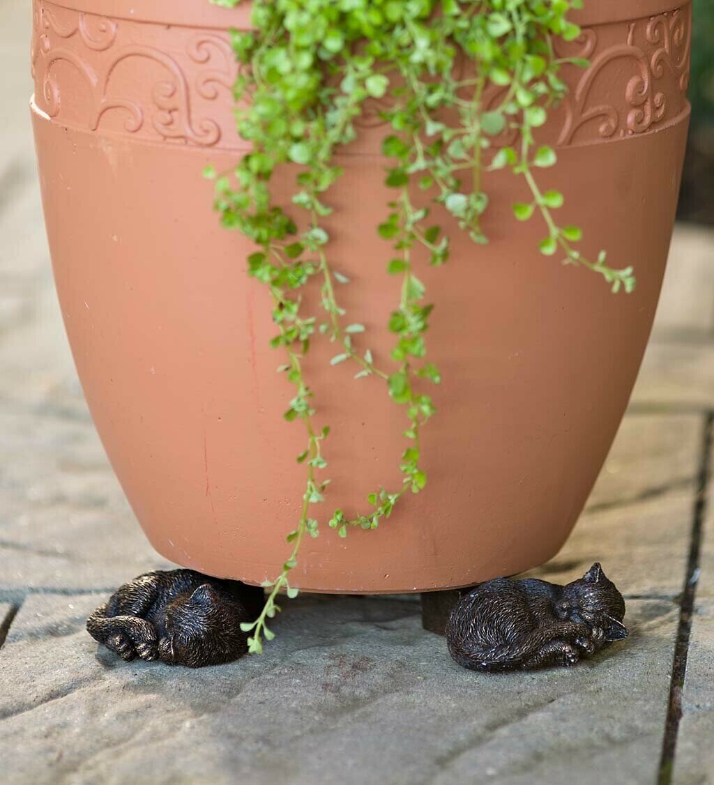 Potty Feet Plant Pot Feet