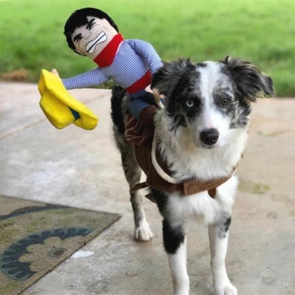 mamymarket™-The Cowboy Rider Dog Costume