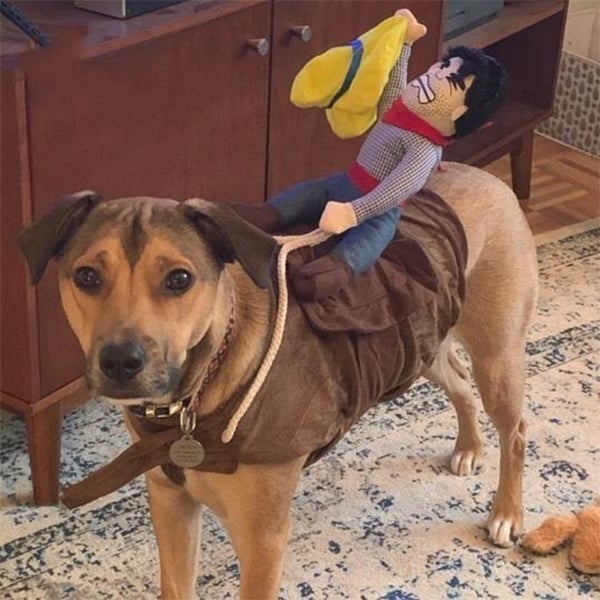 mamymarket™-The Cowboy Rider Dog Costume