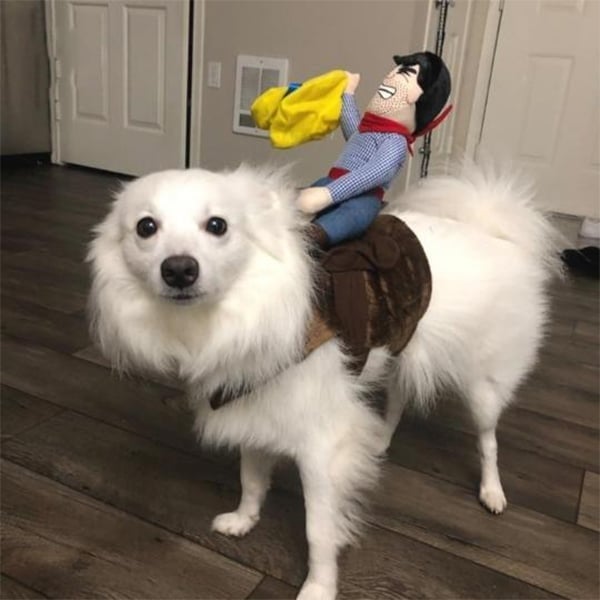 mamymarket™-The Cowboy Rider Dog Costume