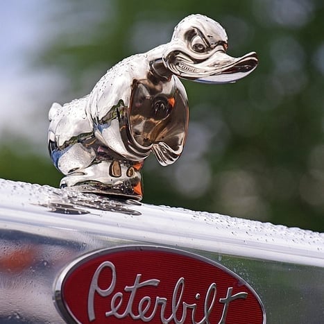 Limited Time Promotion🔥 Angry Duck Hood Ornament Death Proof