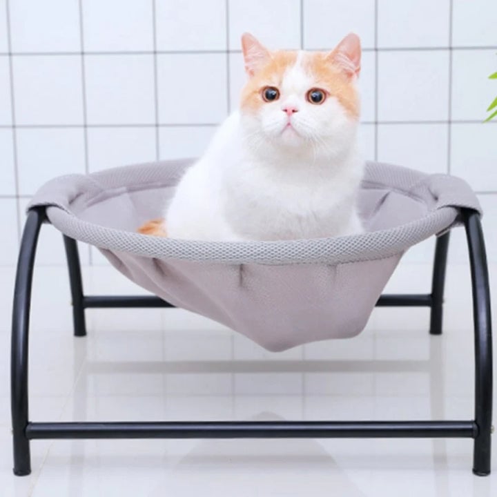 mamymarket™-Floor Cat Hammock-With Stand