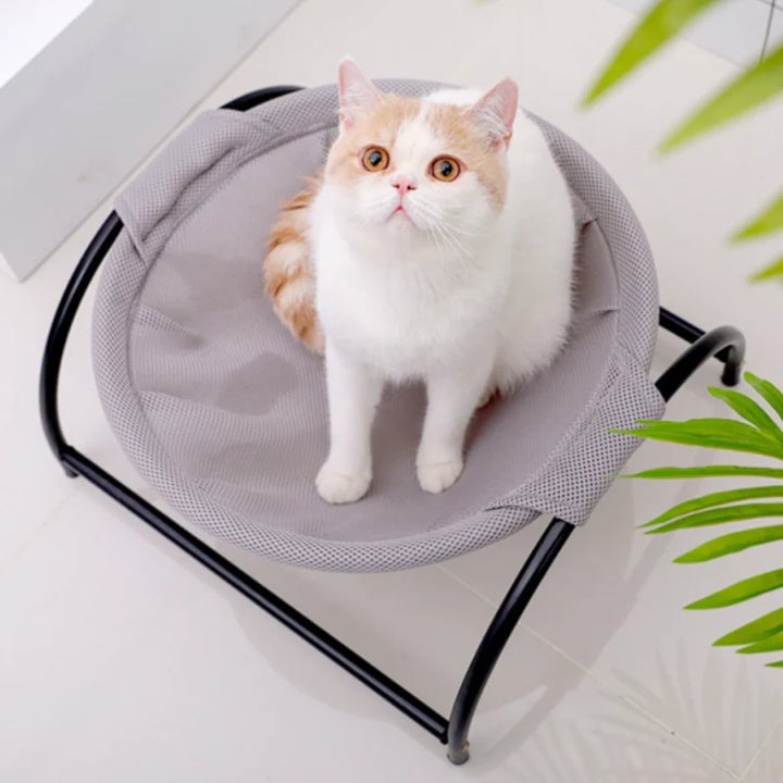 mamymarket™-Floor Cat Hammock-With Stand