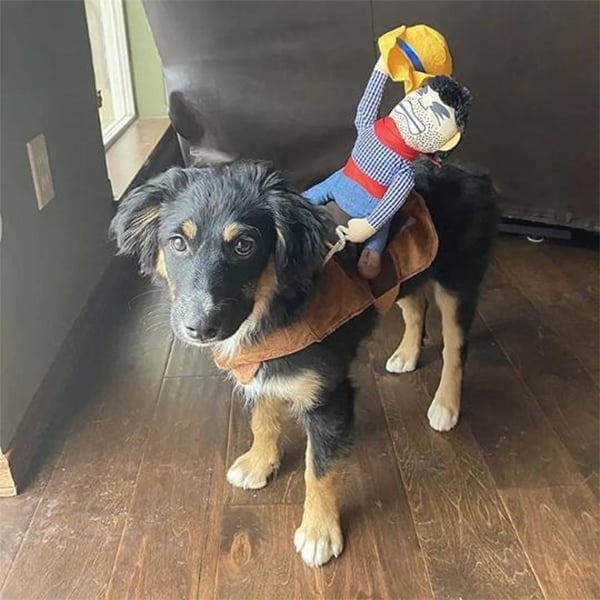 mamymarket™-The Cowboy Rider Dog Costume