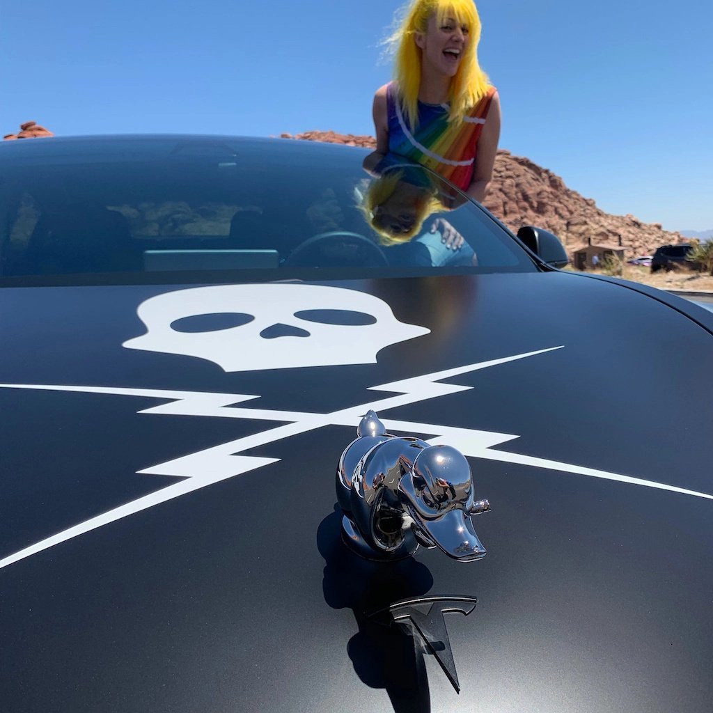 Limited Time Promotion🔥 Angry Duck Hood Ornament Death Proof