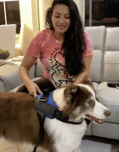 mamymarket™-Anti Choke Dog Harness