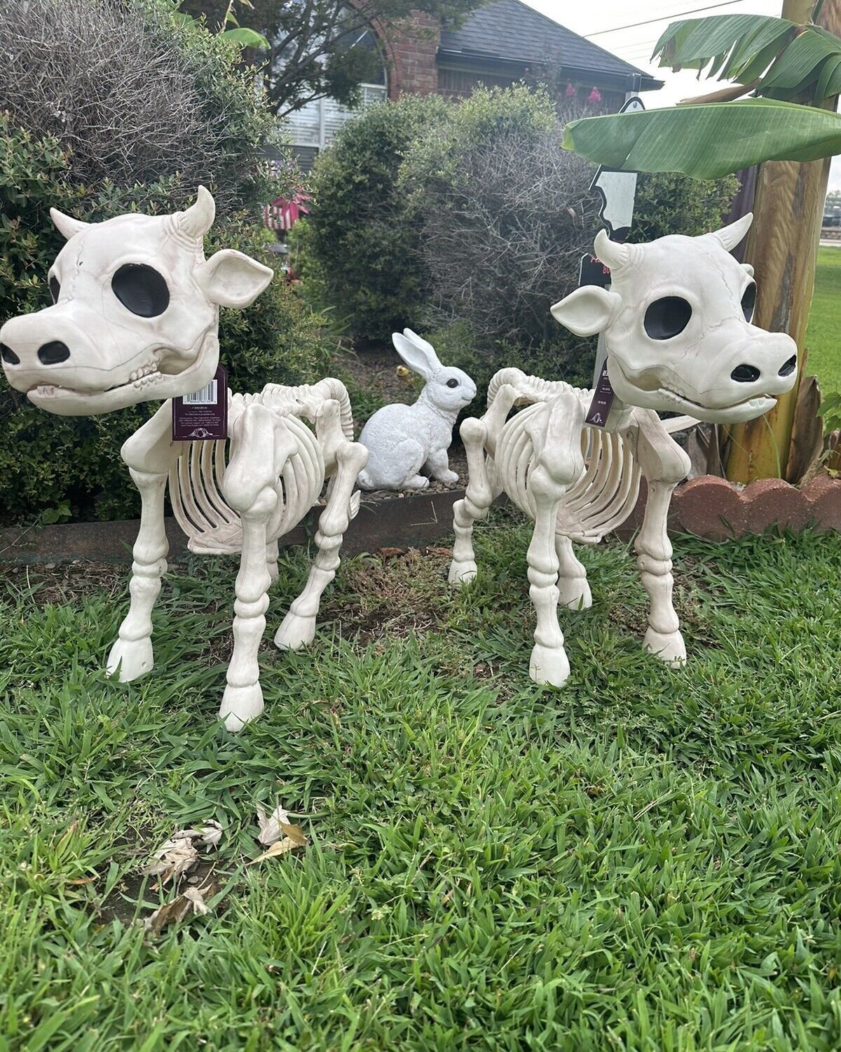 Halloween Sale 50% off-Cow & Horse Skeleton Halloween Decorative Prop