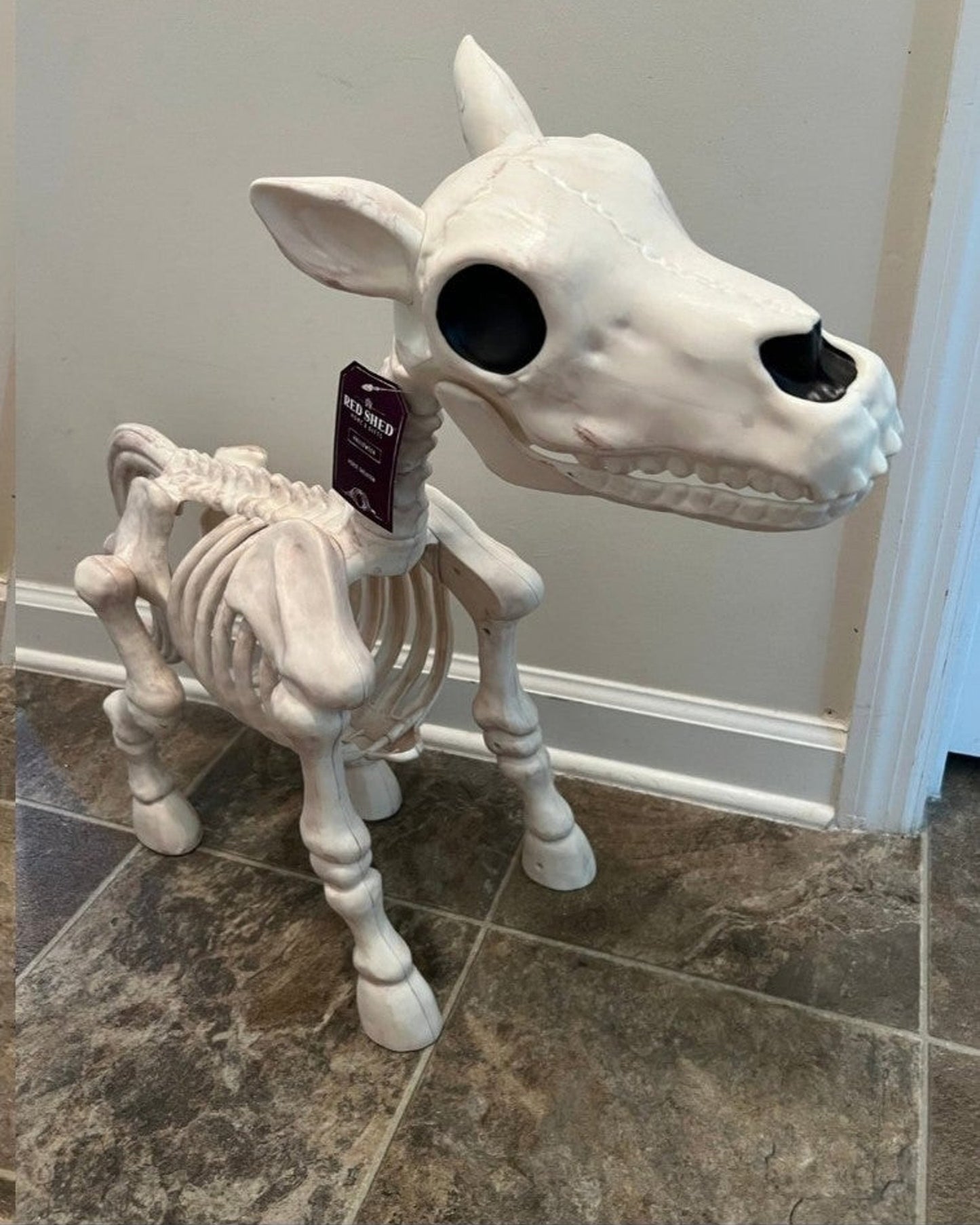 Halloween Sale 50% off-Cow & Horse Skeleton Halloween Decorative Prop