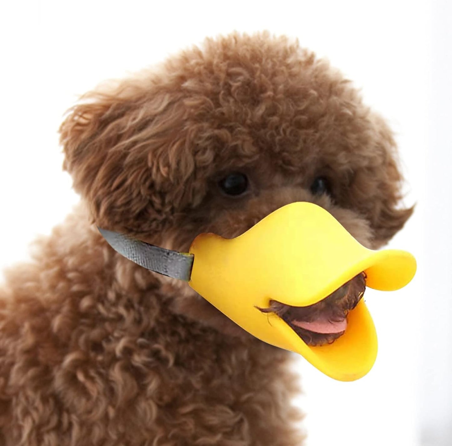 mamymarket™-Anti Bite Duck Mouth Shape Dog Mouth Covers