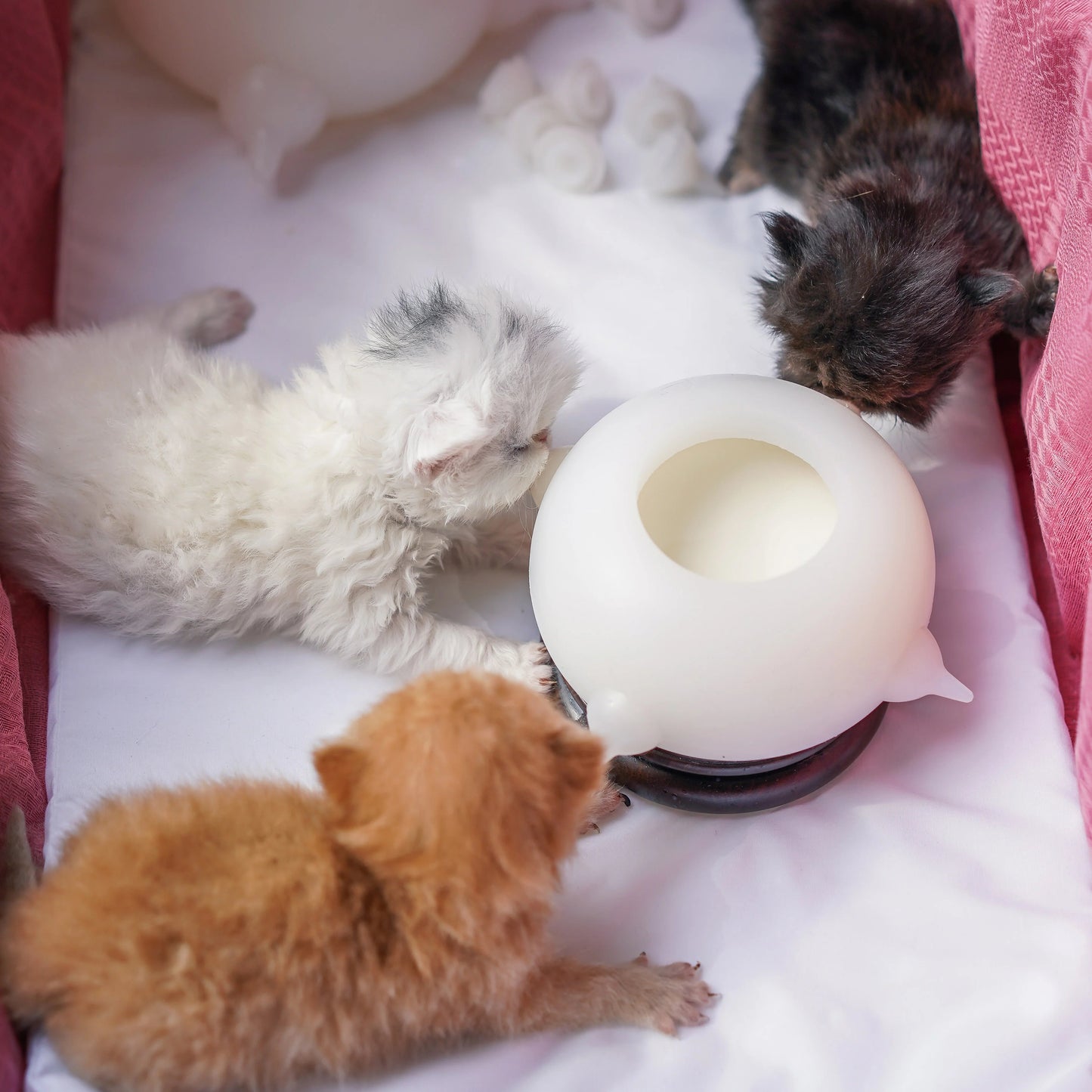 mamymarket™-Bite-Resistant Simulation Baby Pet Feeding Bowl