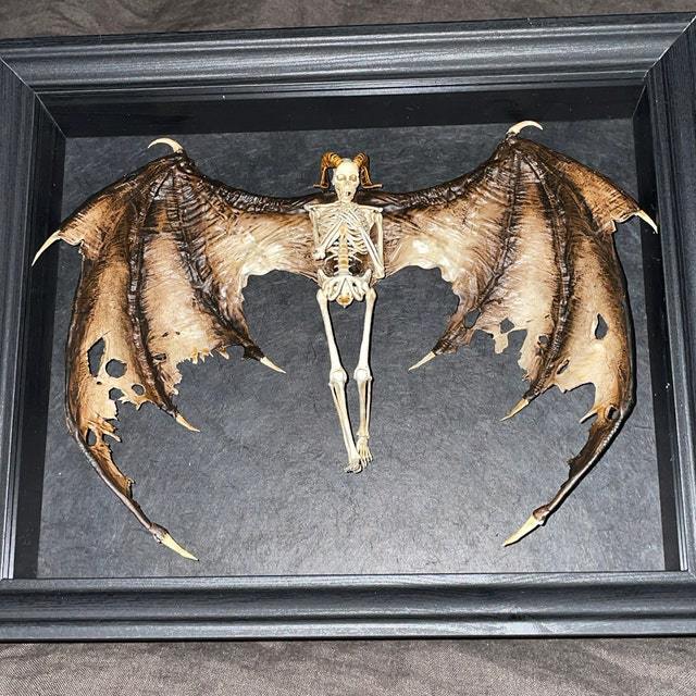 Bat winged demon skeleton