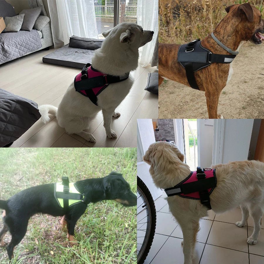 mamymarket™-Anti Choke Dog Harness