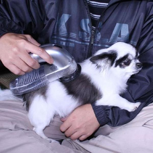 mamymarket™-Best handheld vacuum for pet hair