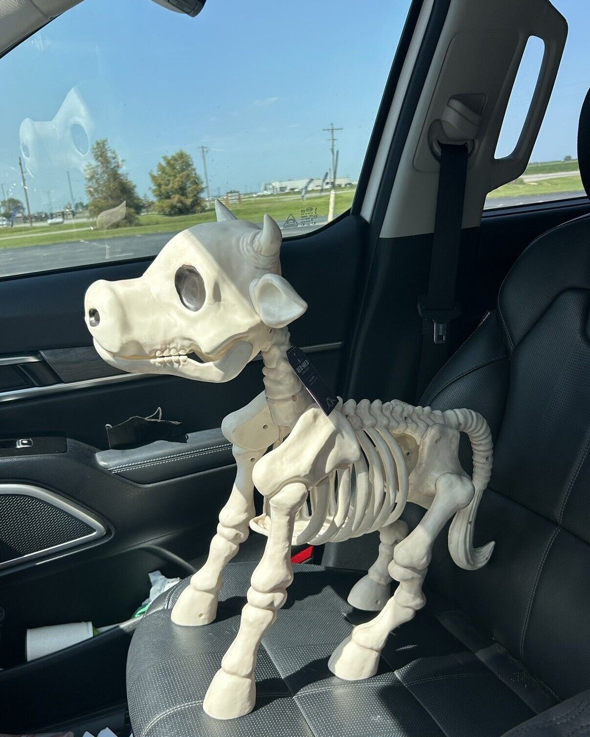 Halloween Sale 50% off-Cow & Horse Skeleton Halloween Decorative Prop