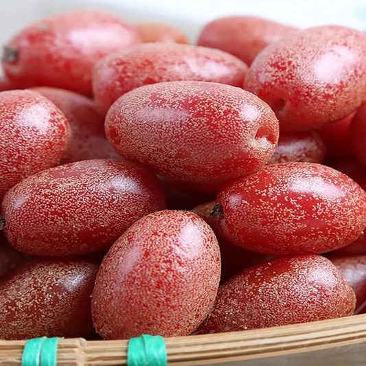 Che Fruit Seeds🎈Exotic and Nutritious