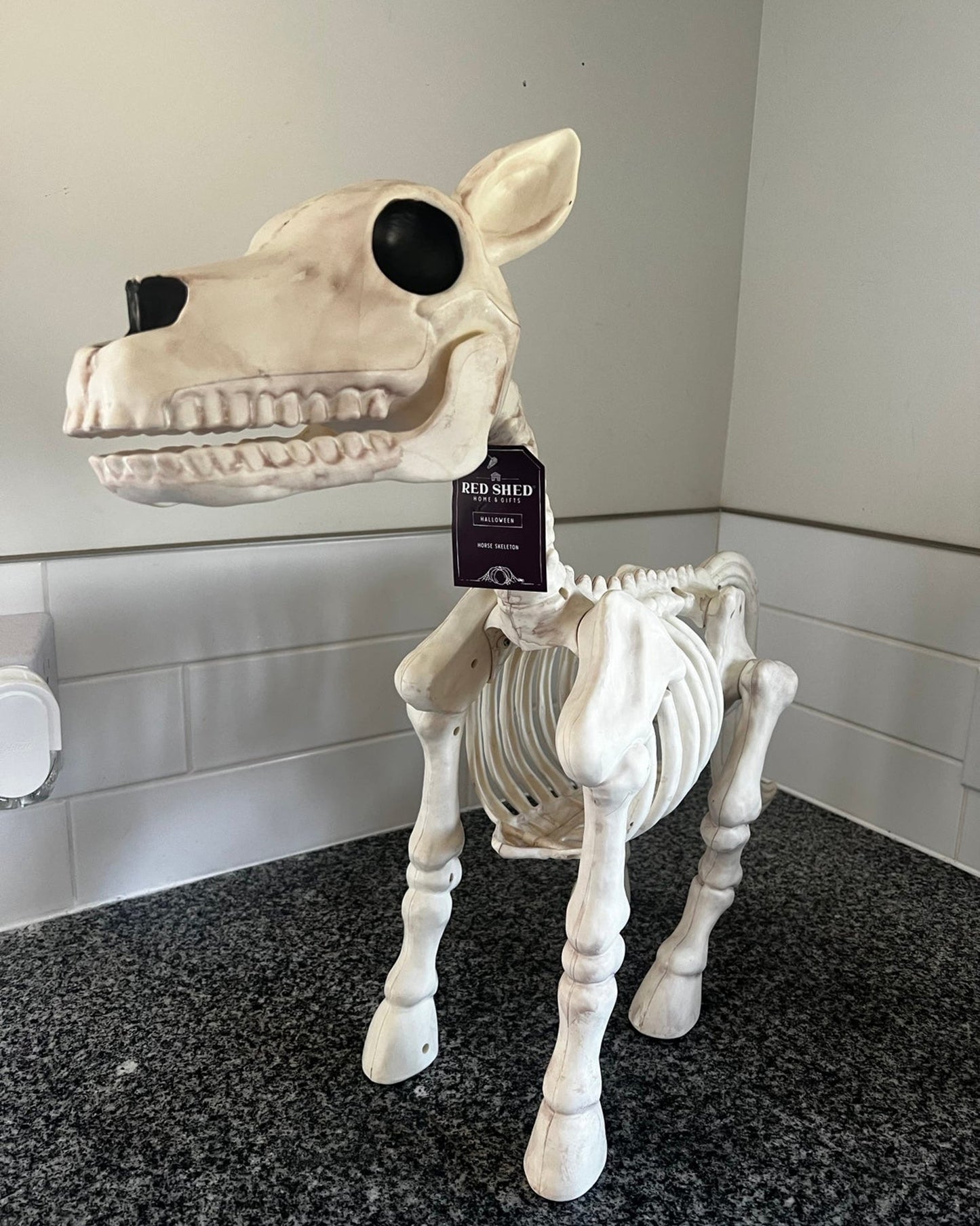 Halloween Sale 50% off-Cow & Horse Skeleton Halloween Decorative Prop