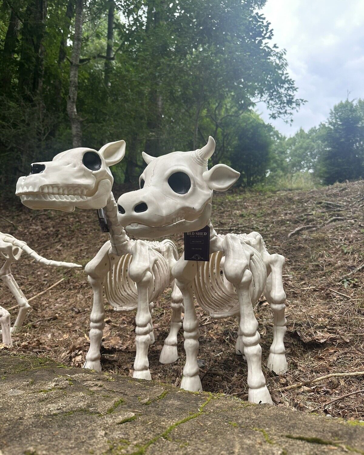 Halloween Sale 50% off-Cow & Horse Skeleton Halloween Decorative Prop