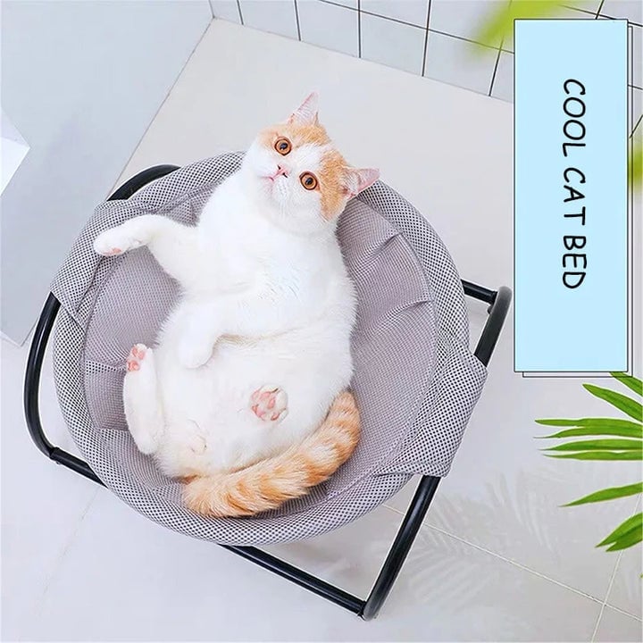 mamymarket™-Floor Cat Hammock-With Stand