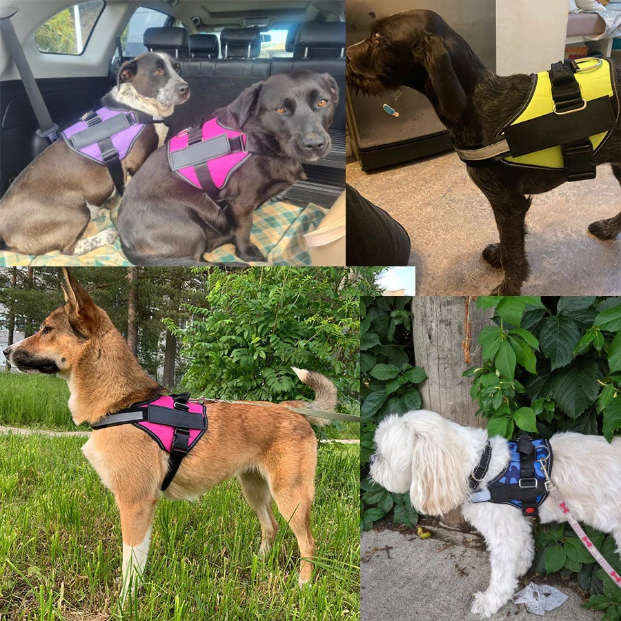 mamymarket™-Anti Choke Dog Harness