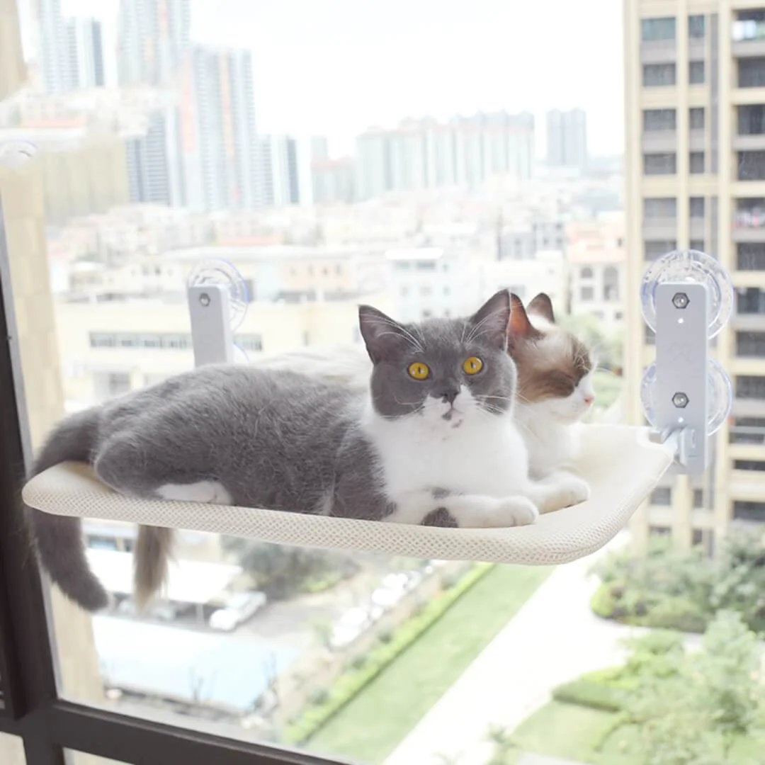 mamymarket™-Foldable Cat Hammock Suction Cup Cat Hammock