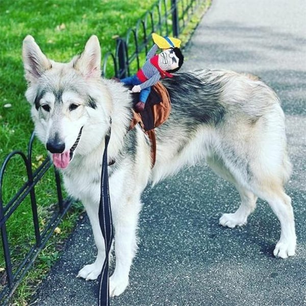 mamymarket™-The Cowboy Rider Dog Costume