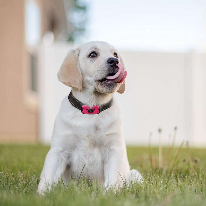 mamymarket™-Anti-Bark Collar