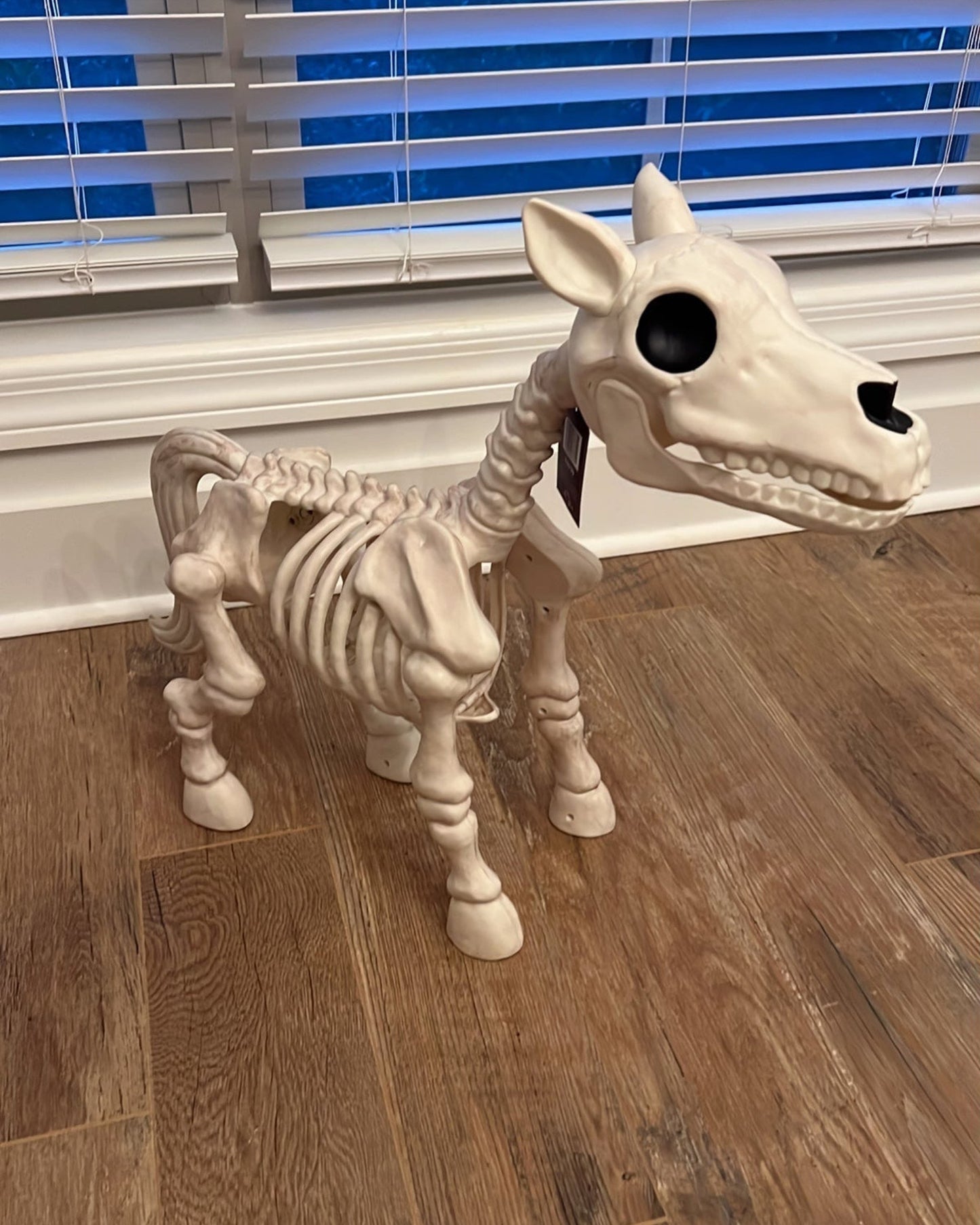 Halloween Sale 50% off-Cow & Horse Skeleton Halloween Decorative Prop