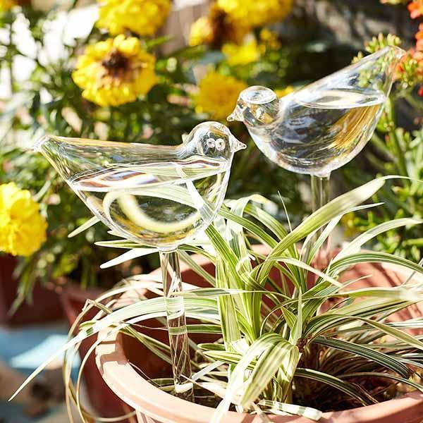 (Last Day Flash Sale-50% OFF)Self-Watering Plant Glass Bulbs-BUY 8 FREE SHIPPING