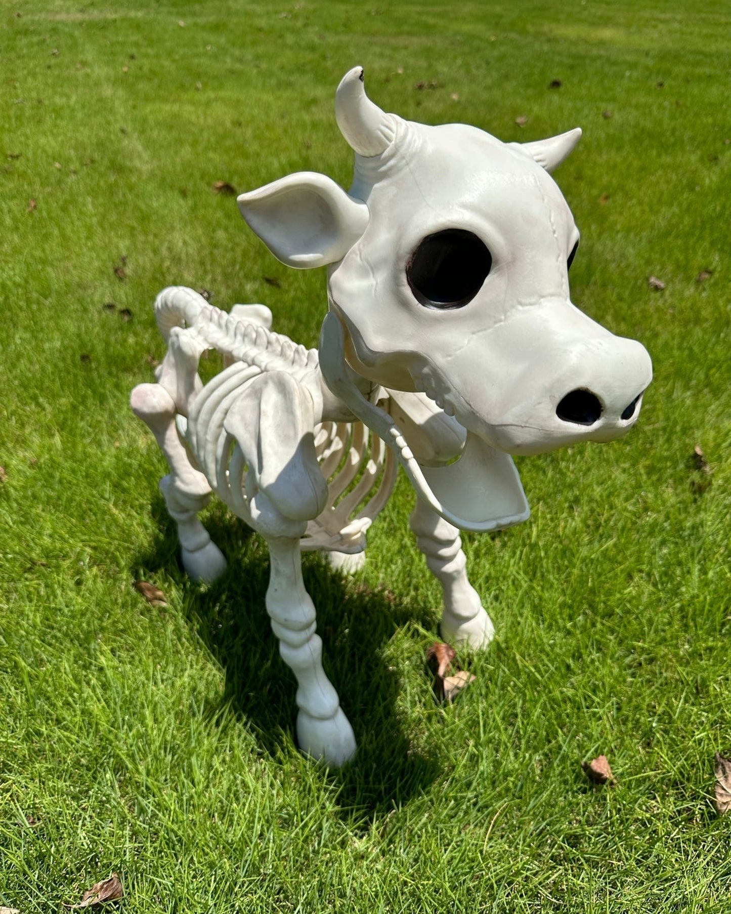 Halloween Sale 50% off-Cow & Horse Skeleton Halloween Decorative Prop