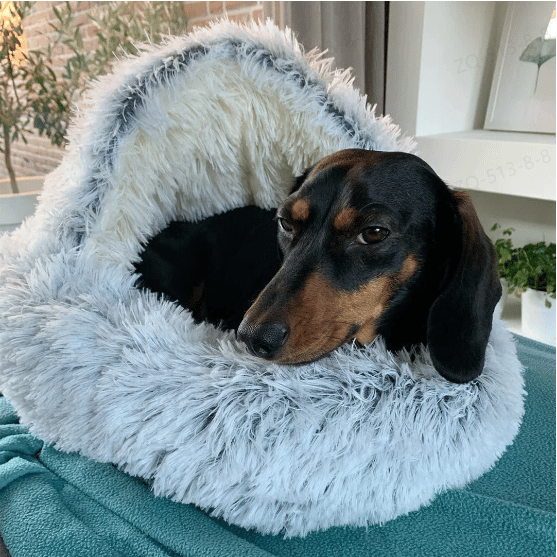 mamymarket™- Premium Pet Bed