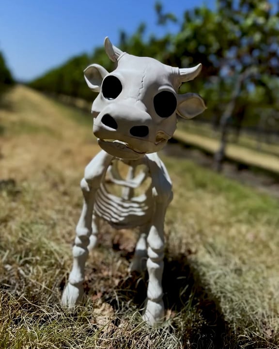 Halloween Sale 50% off-Cow & Horse Skeleton Halloween Decorative Prop