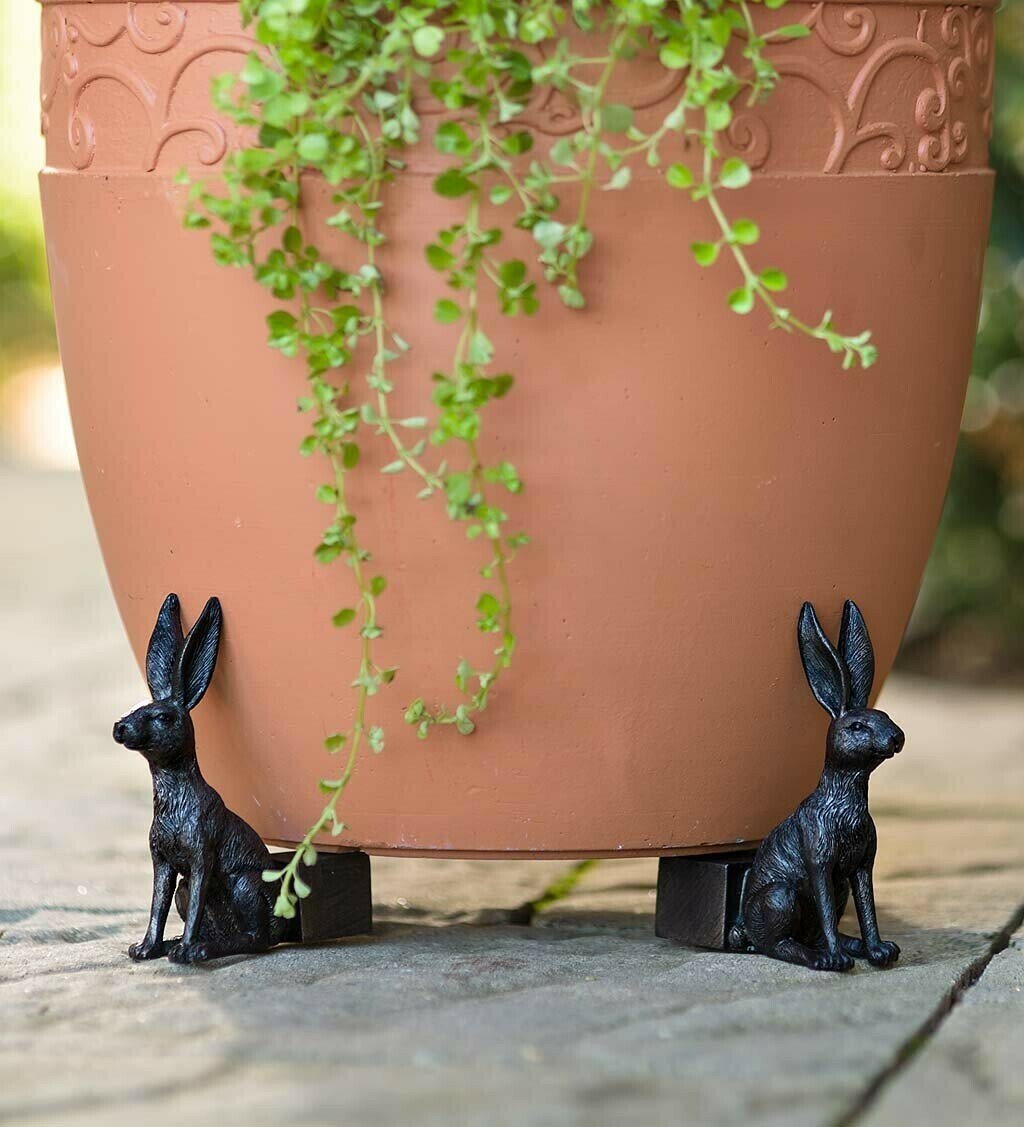 Potty Feet Plant Pot Feet